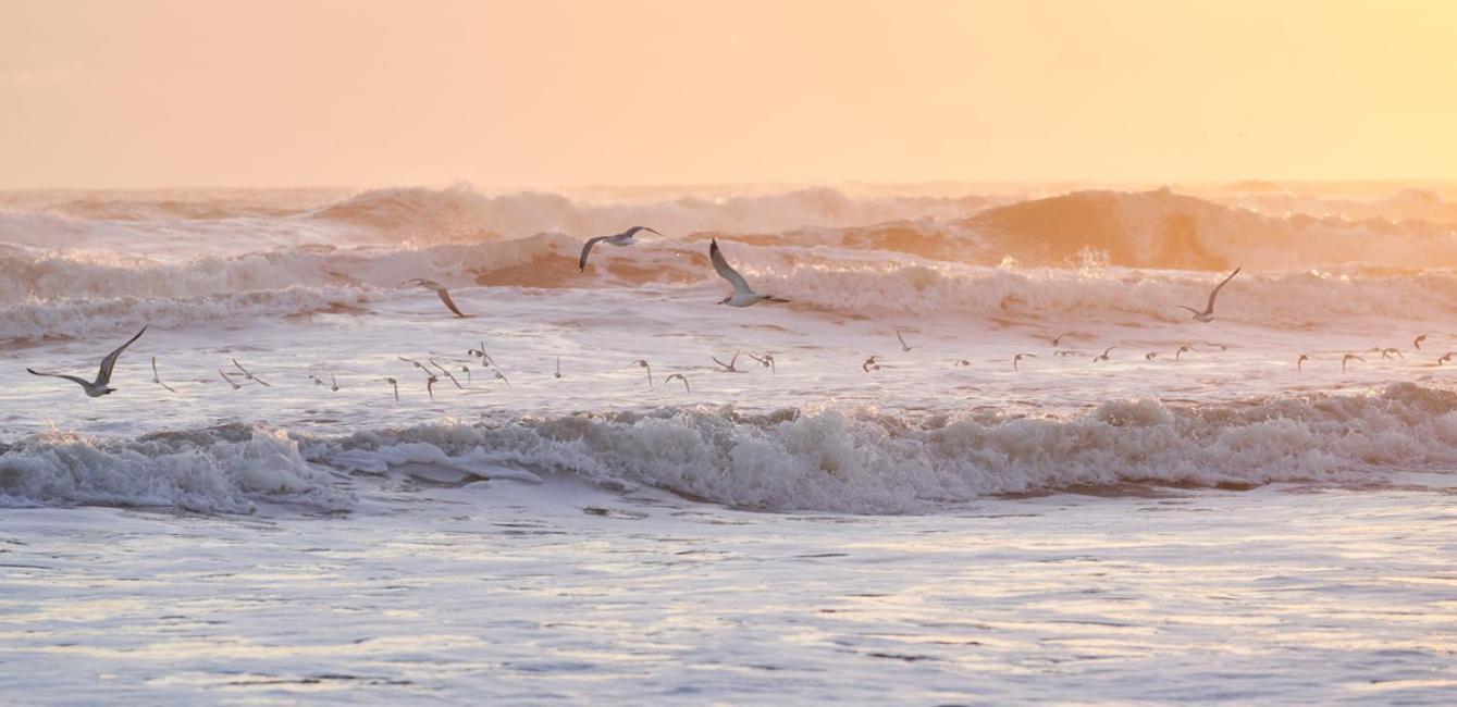 The Maverick Ormond Beach Ngoại thất bức ảnh